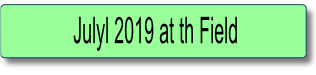 Julyl 2019 at th Field.