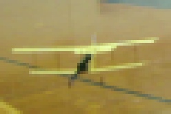 Jenny.mp4